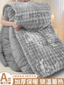 Thickened Fluffy Bean Bag Blanket Winter Warm Cotton Duvet Single Person Fleece Spring Autumn Bedding Quilt Polyester Fiber