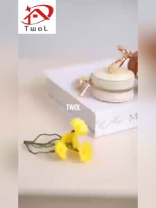 TWOL SHOP 1pcs Simple Portable Jewelry Storage Box Suitable for Travel Carrying Earrings Ring Jewelry Box