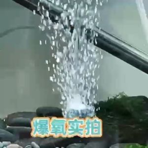 Oxygen Stone and Oxygen Soft Tube (For Aquarium Fish Use)