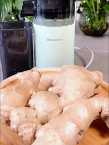 SG [In Stock] Upgraded Juicer 97% Cold Press Slow Juicer Easy to Clean Pulp Measuring Cup Juicer Fruit Blende