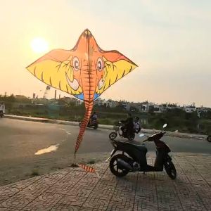 Diều Trẻ Em Voi Đại Đăng Quang