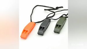 4Pcs Bird training whistle for pigeon lovebirds accesories