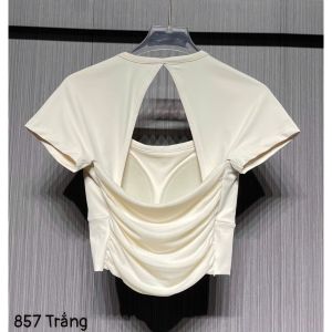 Áo croptop ngắn tay nữ tập gym yoga pickleball mút may liền thun lạnh quảng châu cao cấp co giãn 4 chiều BINSPORTS A342