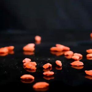 【现货READY STOCK】 -Grade AAA XL Size NingXia Goji Berry 散装大颗宁夏枸杞独立包装 5g/pack Individual Packaging Prevent Moisture 泡水枸杞 养生枸杞