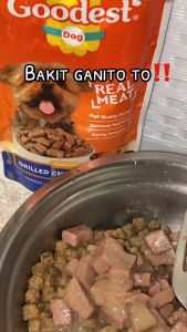 Goodest Dog Wet Dog Food Pouch 130g All Life Stages Pet Essentials
