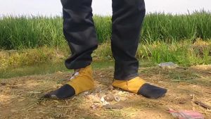 Sepatu Tandur Siap digunakan di Sawah Tambak Kebun