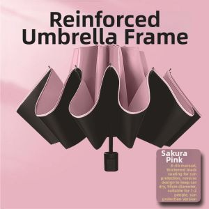 MOLORE | Automatic Folding Sun & Rain Umbrella 12 Ribs