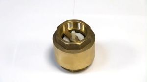 One Way Valve Spring Valve Check Valve Non Return Valve Brass Valve Spring Injap Spring Check Brass Spring Injap Sehala