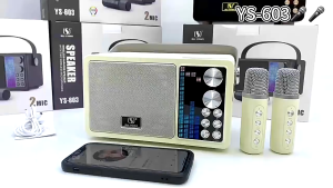 Bluetooth speaker with handle karaoke mini speaker with dual microphone portable Bluetooth speaker&*