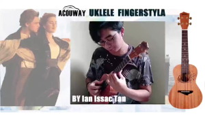 Acouway Ukulele soprano/Concert/tenor Ukelele 21/24/26 mahogany ukulele guitar Japan Carbon 4strings