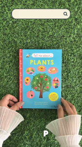 Templar Books- Tell Me About Book Series