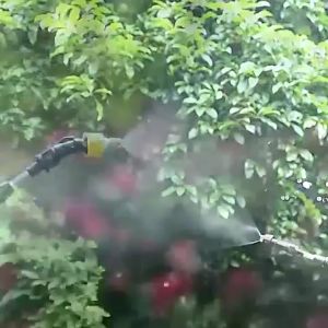 8L เครื่องพ่นยาไฟฟ้า หัวพ่นยาไฟฟ้า การฉีดพ่น200 นาทีต่อเนื่อง โหมดการพ่นน้ำห้าโหมด แถมอุปกรณืเสริม3ชิ้น การฉีดพ่นแบบคู่ ถังน้ำหนาขึ้น กระบอกพ่นยา พ่นยาไฟฟ้า