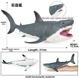 Child Simulation Marine Creatures Model