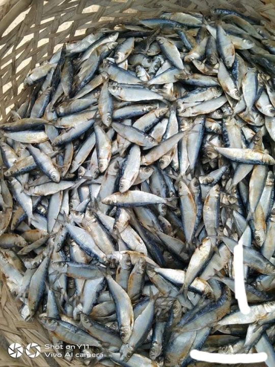 Tamban/ Tabagak dried fish VACUUM SEALED (NOT TOO SALTY) fresh from bantayan island Cebu 150 grams