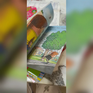 The Fly Guy Series English Version Comic Books Childrens Book 22 Books