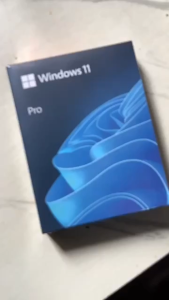 Windows 11 Operating System