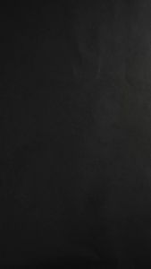 iPhone 16 [ Pro Max / Pro / Plus ] Rhinoshield Lens Protector  - 9H Tempered Glass