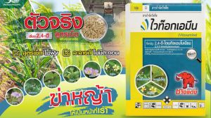 ไวท๊อกเอมีน (2-4ดีช้างแดงผง แบบเกล็ด) ขนาด 1 กิโลกรัม ใช้หลังวัชพืชงอก เพื่อกำจัดวัชพืช ประเภทใบกว้าง เช่น ผักบุ้ง หญ้ายาง ผักโขม ผักปอดนา เทียนนา