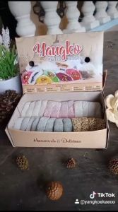 Yangko Mochi Eka Eco Borobudur Aneka Rasa