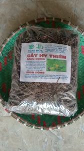100g cây hy thiêm sấy khô