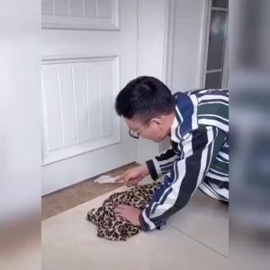 BUSA PENUTUP CELAH: Solusi Anti Kecoa & Penghalang Debu Suara