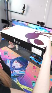 Bàn phím AKKO 3098 Neon (PBT Double Shot/Rainbow LED/ASA profile)_Mới hàng chính hãng