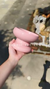 Premium Ceramic Pet Bowls High Ceramic Cat Dog Bowls