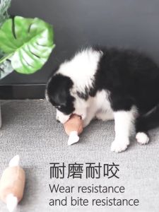 Squeaky Drumstick Bone Toy: Fun & Interactive Pet Toy