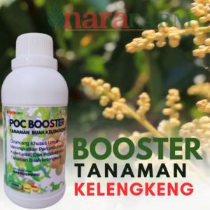Pupuk Buah Khusus Kelengkeng: Pupuk Pelebat Buah Kelengkeng dan Pupuk Buah Kelengkeng Super Lebat