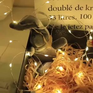 20Packs 1m LED String Lights Warm/Multicolor/Red/Green/Blue/Pink/Purple/White Christmas Atmosphere Firefly Lamp Starry Sky Light