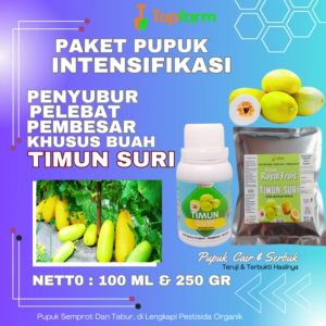 Pupuk Pembesar Timun Suri / Pupuk Pelebat Buah Timun Suri / Pupuk Timun Suri / Pupuk Buah Timun Suri / Pupuk Awal Timun Suri