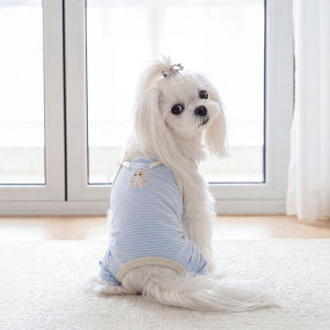 hipidog | Áo Dạng Vest Giữ Ấm Hơi Thở Mùa Hè Cho Chó