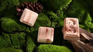Wood With Ground Wall Surface Plugs Socket Classic Paint Plastic Flame Retardant Power Sockets EU Standard Electrical Outlets