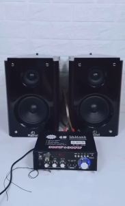 RAJA TaffSTUDIO Amplifier Bluetooth Speaker salon Audio mobil Karaoke rumahan FM 600W - AV-298BT