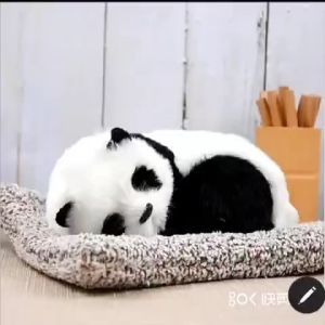 Pajangan Mobil Anabul Arang Bambu Penghilang Bau Motif Kucing Panda - Car