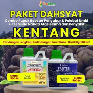 Pupuk Pestisida Topfarm & Obat Tanaman Kentang Insektisida