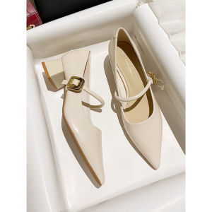 Little Fragrance Mary Jane Block Heel Shoes Womens New Pointed Toe French Vintage Soft Leather Strap Pumps