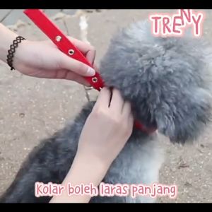 TRENY Full Range of Soft Foam Dog Collar Adjustable Dog Nylon Padded Pet Collar Kolar Nilon