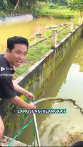 REAIM Submersible Pompa Listrik Hemat Listrik  Anti Bocor Tangga Tekanan Air Kuat Lift 16m Cocok untuk irigasi lahan pertanian dan kebun drainase dan pemompaan dll. (Garansi Resmi)