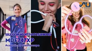 MDF หูฟังทางการแพทย์ Stethoscope Acoustica - Purple rain 747XP#8 (สีม่วงเข้ม)