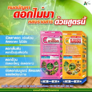 เปิดตาดอกลำไย หลังราดสาร เปิดตาดอก เร่งติดดอก ดอกดก ดอกอ้วน ช่อยาว สมบูรณ์ (ขนาด 1+1 ลิตร)