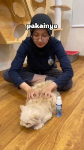 Obat Kucing dan Anjing Colloidal Nano Silver Spray 30ppm Mengatasi Berbagai Permasalahan Hewan