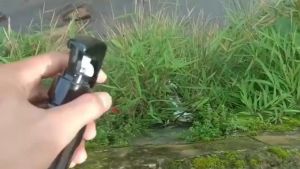 PEMBASMI RUMPUT LIAR ILALANG DAN GULMA 1 liter (gratis 500ml)