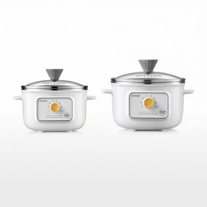 BUYDEEM | Nồi Điện Tự Động Nhỏ Gọn Bằng Thép Không Gỉ