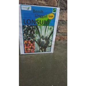 BIBIT KELAPA SAWIT LONSUM LONDON SUMATRA BENIH KECAMBAH POLONG KELAPA SAWIT UNGGUL KUALITAS TERBAIK