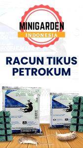 Racun Tikus Petrokum 100 gram mati kering 0005 BB insektisida obat tikus perangkap tikus