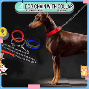 Rennas Dog Chain Stainless Steel Dog Collar And Leash Dog Harness With Leash For Dog Accessories