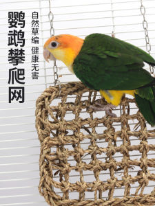 High-Energy Parrot Climbing Net Toy Grass Weaving Tiger Skin Peony Swinging Bedding Chewable Tooth Grinding Bird Supplies