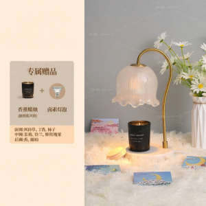 AOMAO | Lily of the Valley Scented Warm Light No Open Flame Temperature Adjustable Aroma Lamp