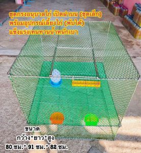 กรงอนุบาลไก่ (ชุดเล็ก)พร้อมอุปกรณ์เลี้ยงไก่ครบชุด พับได้ แข็งแรง ทนทาน น้ำหนักเบา